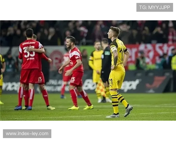 疫情后德甲俱乐部财务状况复苏，转播收入创新高